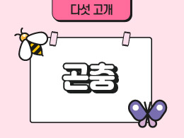 곤충 표지