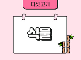 식물 표지