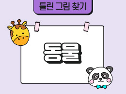 동물 표지