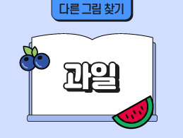 과일 표지