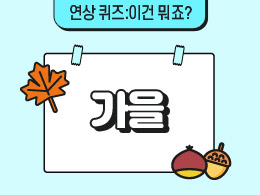 가을   표지