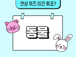 동물   표지