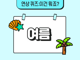 여름   표지