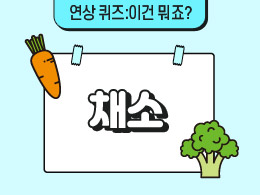 채소   표지