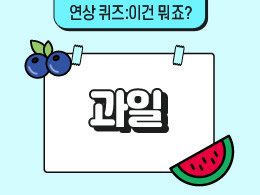과일 표지